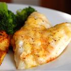 tilapia